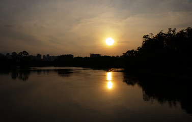 Obraz premium Ibirapuera Park in Sao Paulo, Brazil. Beautiful park in the middle of the biggest Brazilian city. Nature showing its beauty amidst great buildings.