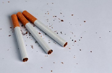 cigarettes on white background 