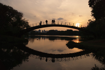 Obraz premium Ibirapuera Park in Sao Paulo, Brazil. Beautiful park in the middle of the biggest Brazilian city. Nature showing its beauty amidst great buildings.