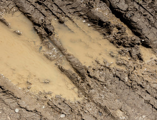 Puddle of mud