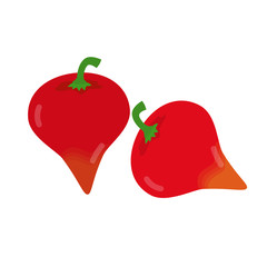 Two peppers pout isolated. Brazilian pepper. White background.