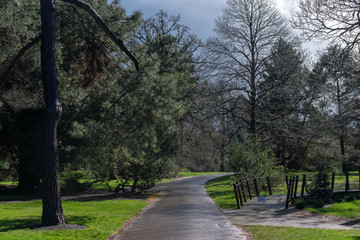  road in the park in the rain