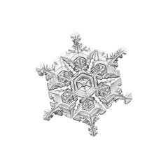 Naklejka premium Snowflake isolated on white background. Macro photo of real snow crystal: elegant star plate with hexagonal symmetry, glossy relief surface, massive central hexagon and short, ornate arms.