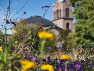 Kirche St. Stephan in Karlsruhe mit Blumenwiese im Vordergrund, Deutschland