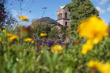Kirche St. Stephan in Karlsruhe mit Blumenwiese im Vordergrund, Deutschland