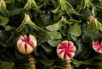 Fresh turnip and spinach on the fruit market