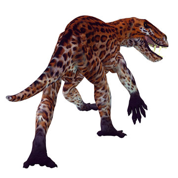 Lycaenops Cat Tail - Lycaenops was a carnivorous cat-like dinosaur that lived in South Africa during the Permian Period.