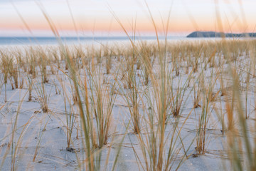 Obraz premium traumhafter Winterurlaub auf Rügen an der Ostsee – Abendstimmung am Strand von Thiessow