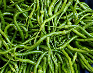 Spicy and fresh green peppers
