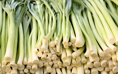 Vegetables and garlic and fresh scallion