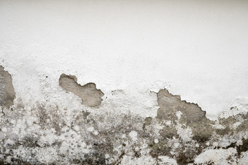 Wall damaged by humidity