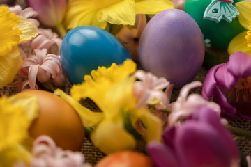 Colorful easter eggs and flowers