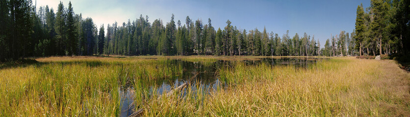 Yosemite Dying Pond
