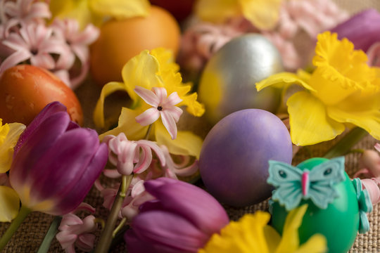 Colorful easter eggs and flowers