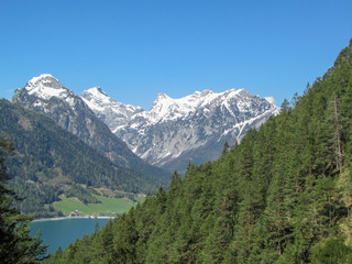 View from Lake Achensee-Tyrol near Maurach-Innsbruck with green sunny Austrian Alps in Tirol with snowy mountains in background under blue sky