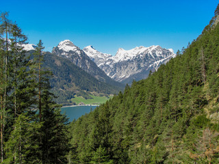 Fototapeta na wymiar View from Lake Achensee-Tyrol near Maurach-Innsbruck with green sunny Austrian Alps in Tirol with snowy mountains in background under blue sky