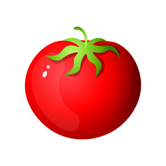 Single red tomato simple cartoon isolated on white background
