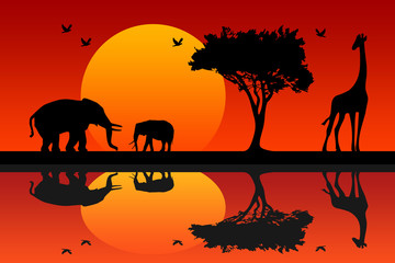 Fototapeta na wymiar Africa safari animals