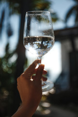 Wine glass with reflection of palm trees on the tropical landscape background 