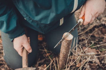 The woman makes a crack in the newly cut young tree for his vaccination with a knife and a hammer