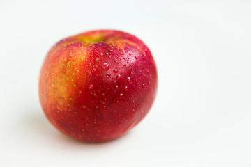 Red apple on the white ground