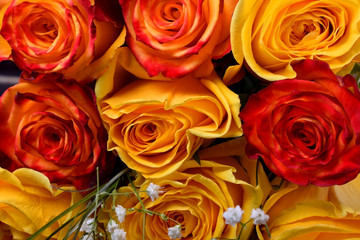 Bouquet of yellow and orange roses and gypsophila flowers against the dark background