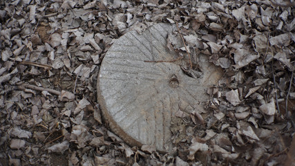 millstone