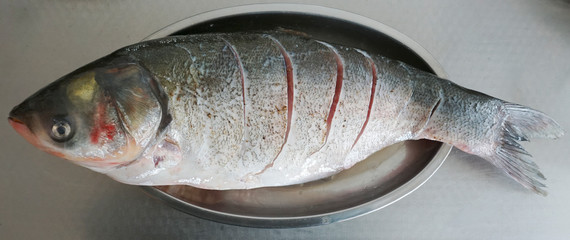 fresh fish