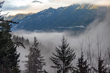 Mist in the Valley