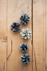 Pine cones on the wood ground