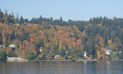 Puget Sound Autumn 1