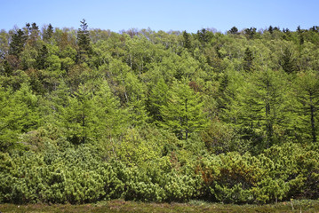 View of Okhotsk. Sakhalin. Far East. Russia