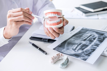 Dentist hand holding of jaw model of teeth and cleaning dental with dental tool