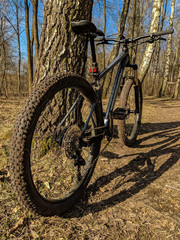 MTB bicycle on the trail in the spring season