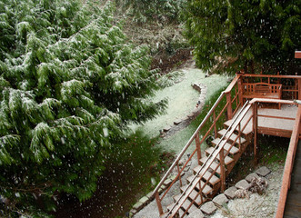 snowy yard