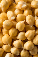 Raw Organic Garbanzo Bean Chickpeas