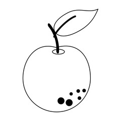 Orange fruit fresh food in black and white