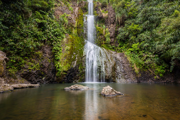 Kite Kite Waterfalls framed by jungle near Piha, New zealand