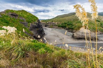 Piha black sand beach, straw grass in the foreground, New Zealand