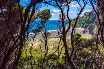 Fototapeta na wymiar KereKere-Piha Beach, Viewpoint through the dense jungle, New Zealand