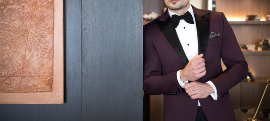Man model in expensive custom tailored tuxedo, suit standing and posing indoors