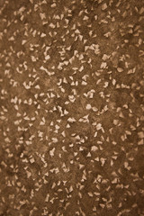SEPIA BROWN BACKGROUND TEXTURE BACKDROP FRAME FOR DESIGN