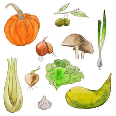Watercolor set of vegetables. Bright types of healthy food. Vegetarian food - obrazy, fototapety, plakaty