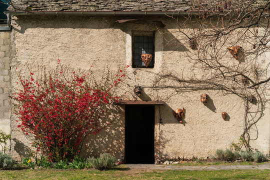 House and Museum of teatro Dimitri in Verscio