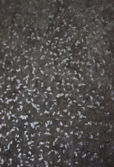  GRAY SILVER METALLIC BACKGROUND TEXTURE BACKDROP FRAME FOR DESIGN