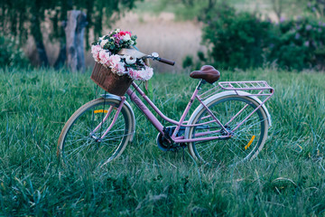 Fototapeta na wymiar Beautiful bicycle with flowers in a basket stands in a park at sunset