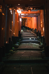 Obraz premium Fushimi Inari Taisha
