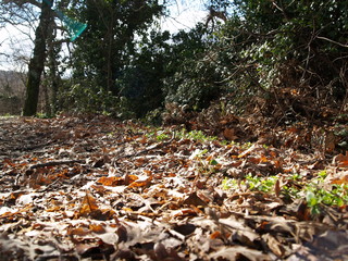 otoño