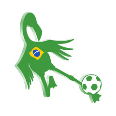 flamingo bird playing football