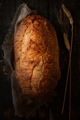 Artisan Rustic Bread 